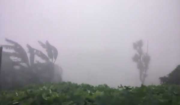 Heavy rains hit Bengal, 3 die