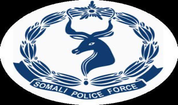 Over 30 killed in hotel attack in Somali capital