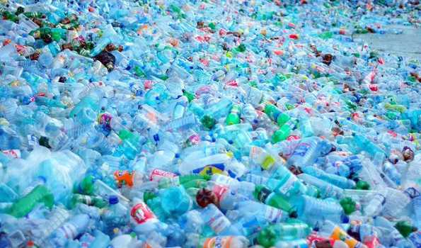 Littered plastic waste has adverse impacts on ecosystem: Govt
