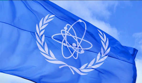 IAEA currently unable to determine cause of Zaporizhzhia nuclear plant fire