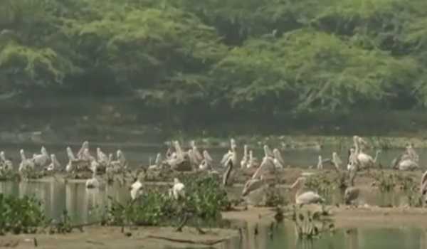 Two more bird sanctuaries in TN gets Ramsar site tag