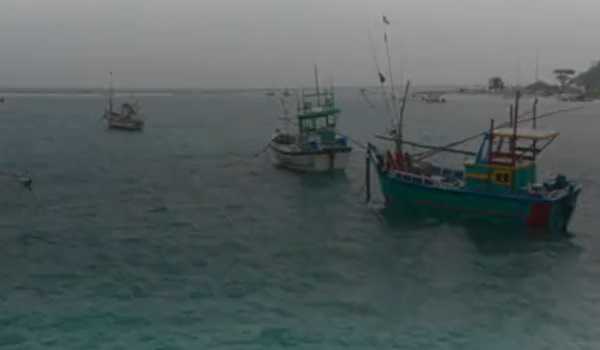 Incentives to encourage fishermen to adopt sustainable fishing practice: Experts