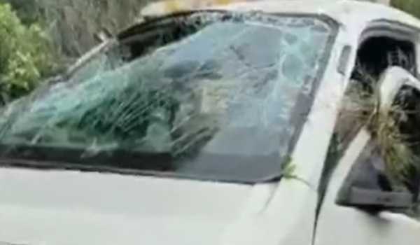 Haryana: 7 devotees, including 3 women, die in road accident