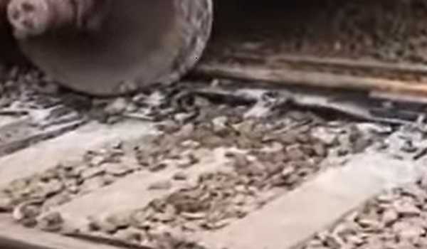 Goods train engine derails in UP due to debris on track