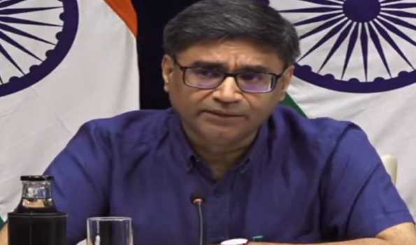 India involved in several conversations on possible peace solution to Ukraine: FS Misri