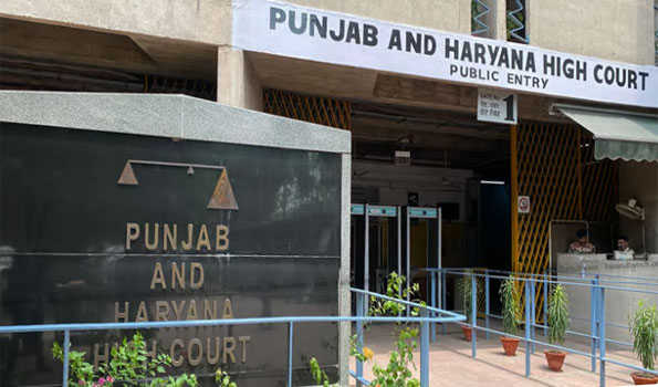 HC allows Punjab to hire 1,158 teachers, librarians