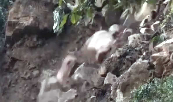 HP: Landslides on Matour Shimla NH blocked traffic for few hours