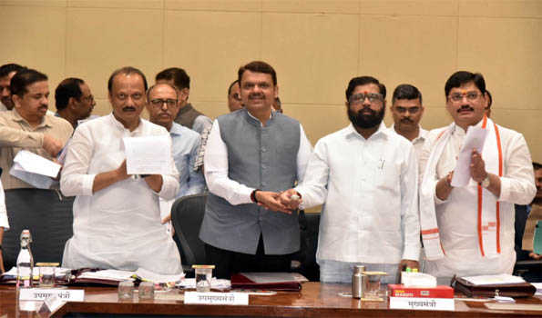 Maha: Govt starts distribution of subsidy to cotton, soybean farmers online