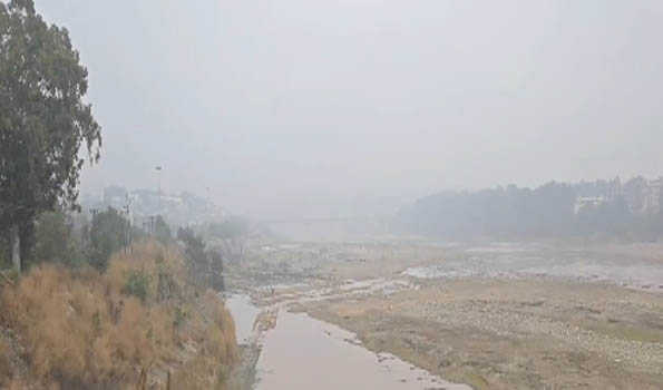 Sun plays hide and seek as dense fog grips Jammu