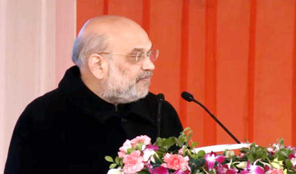 Opposition leaders should learn working style of Sushma Swaraj: Amit Shah