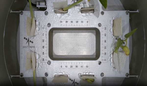 Cultivating crops to produce food in space for manned mission astronauts: A Leap in Space Biological Experiments