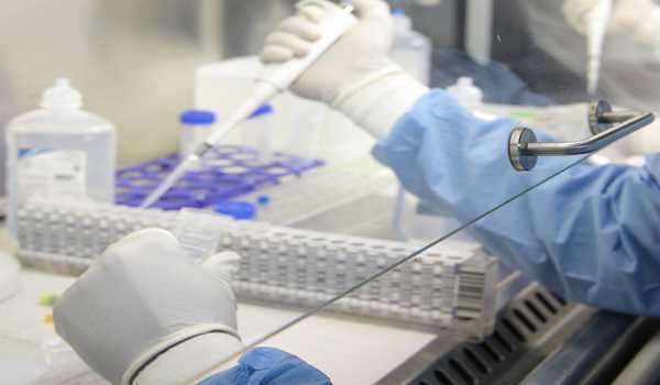 HMPV testing started in Bihar: Health Minister