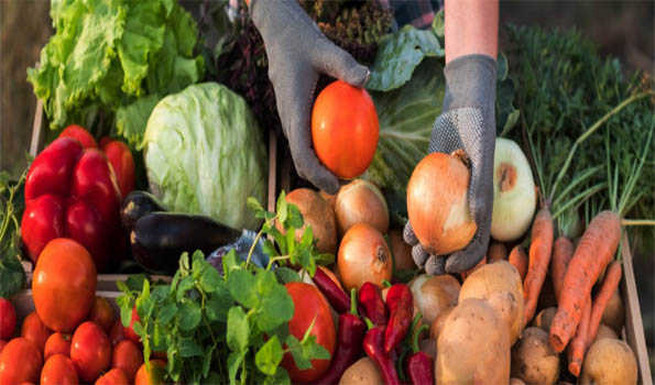Retail inflation eases to 5.22 pc in December on dip in food prices