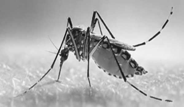 Unknown disease in Congo caused by severe malaria: Health ministry