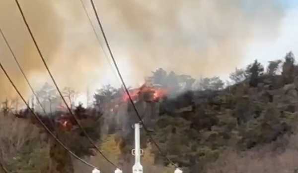 Japan: Forest fire at Maritime Self-Defence Force range continues to burn