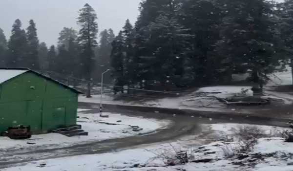 J&K: Gulmarg experiences yet another spell of snow, rains in plains