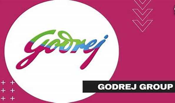 Godrej Enterprises Group targets over 20 pc growth for its Power Infra business