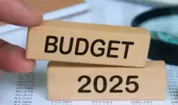 Budget strikes fine balance between eco growth, financial relief for tax payers: Experts