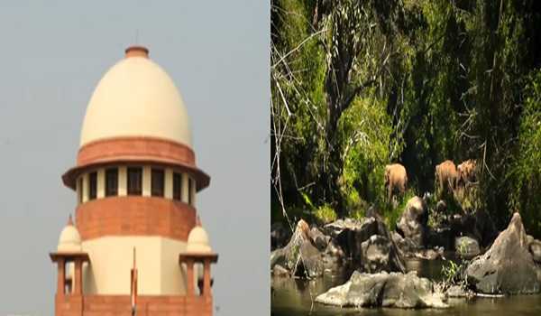 SC restrains Centre & States from reducing forest areas until further notice