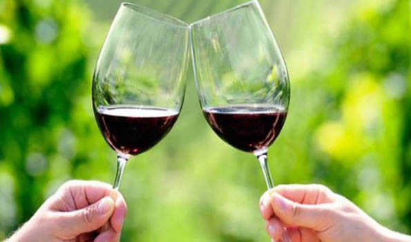Beer Industry contributes 0.3 pc of national GDP; supports over 13 lakh local jobs: Study