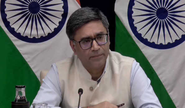 We do raise concerns with US regarding treatment of deportees: FS Misri