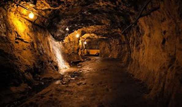 48 killed in gold mine collapse in western Mali