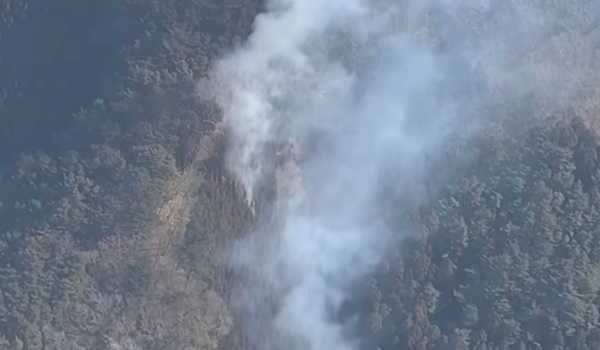 Japan: Forest fire in Iwate continues for day 6