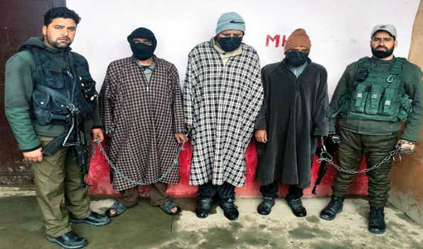 J&K Police crack multiple sheep theft cases, 3 rustlers held in Shopian