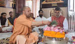 Yogi