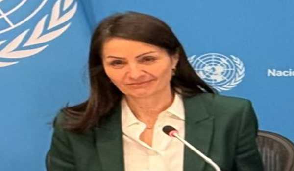 UNSC to hold high-level debate on peacekeeping missions in March: Danish Envoy to UN