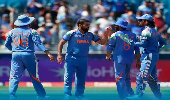 CT: Aussies bowled out for 264 as Mohammad Shami shines