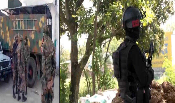 SFs launch search Op in forests of Hiranagar as no fresh contact established with terrorists