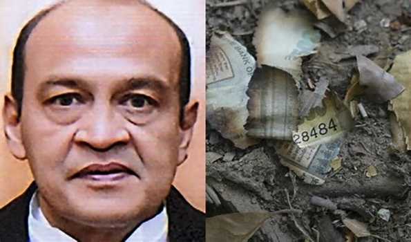 HCBA members to go on indefinite strike against repatriation of Justice Verma