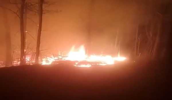 US wildfires lead to evacuations, dozens of homes burnt in Carolinas