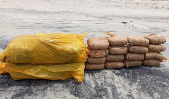 Sri Lanka Navy seize over 124 kg smuggled Kerala cannabis