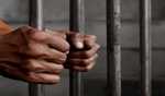 7 Associates of Amritpal Singh remanded to 4-day Punjab police custody