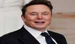 Musk calls acts of vandalism against Tesla 'terrorism'