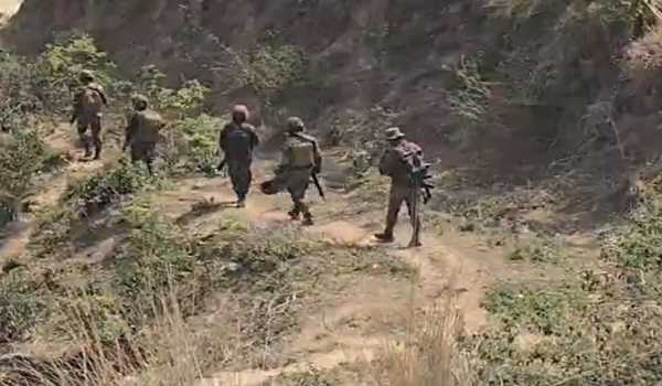 J&K: Searches intensified after fresh gunshots fired in Ramkote area of Kathua