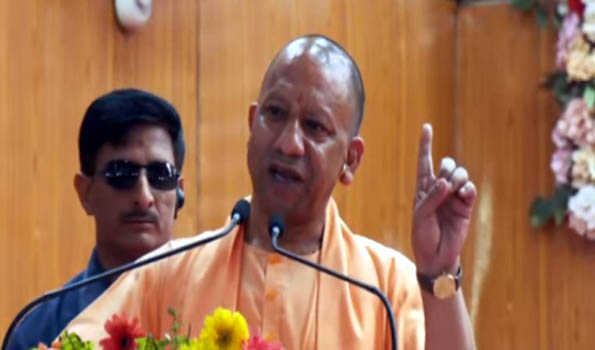 Develop affordable, practical tech models: Yogi