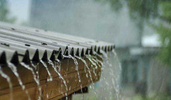 Light to moderate rainfall in J&K, Awantipora record highest; more showers likely