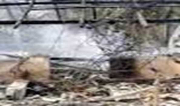 AP govt announces Rs 15 lakh ex-gratia to bereaved families of those dead in explosion