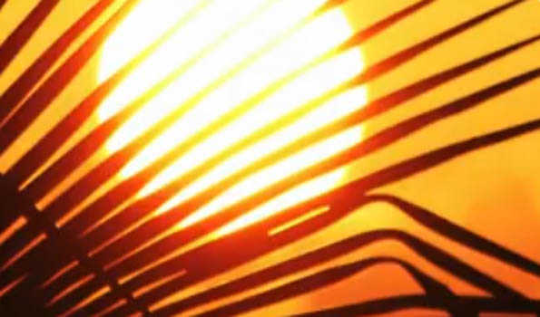 Telangana govt to provide Rs 4 lakh ex-gratia to kin of deceased in sunstroke