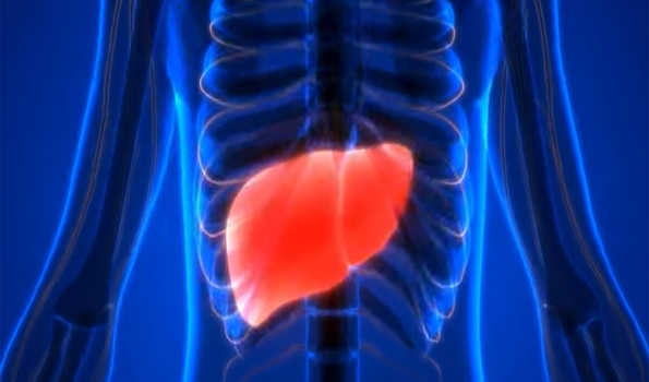 One in five individuals in India suffers from liver disease: Expert