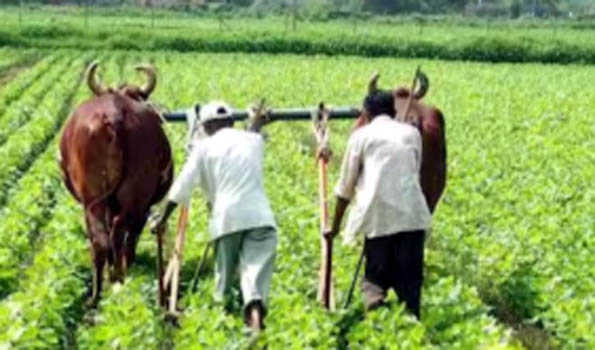 UP govt to give push to natural farming with Rs 2000 cr