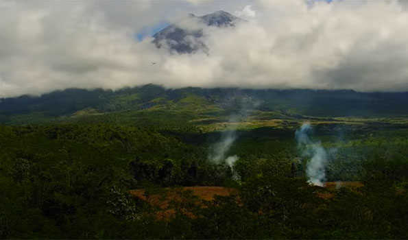 Indonesia's Semeru volcano erupts 4 times, ash columns reaches 800 meters