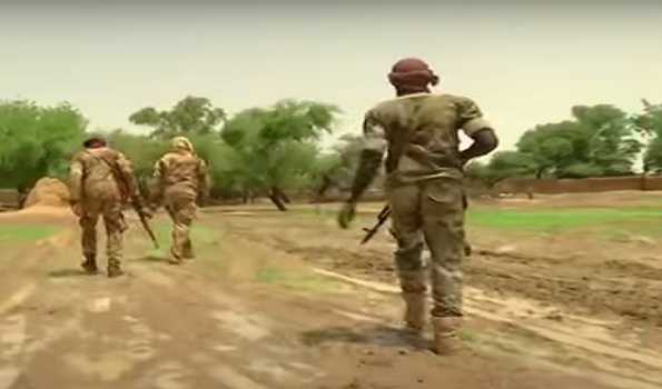 21 terrorists killed in western Mali: Army
