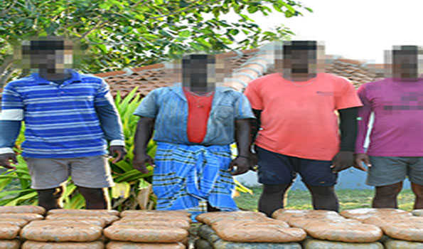Sri Lanka Navy seizes 323 kg Kerala cannabis, 4 held