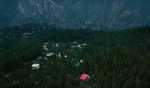 Victory for forest dwellers as Himachal rolls back order