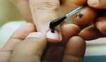 Hyderabad local body MLC elections begin