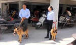 HP : Hamirpur DC office gets bomb threat